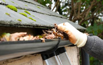 gutter cleaning Langford